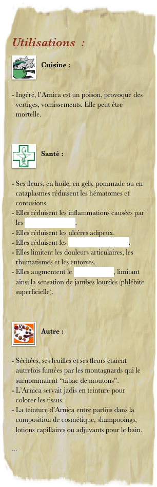 Utilisations  :
￼
Cuisine : 


Ingéré, l’Arnica est un poison, provoque des vertiges, vomissements. Elle peut être mortelle.


￼
Santé : 


Ses fleurs, en huile, en gels, pommade ou en cataplasmes réduisent les hématomes et contusions.
Elles réduisent les inflammations causées par les piqûres d’insectes.
Elles réduisent les ulcères adipeux.
Elles réduisent les douleurs musculaires.
Elles limitent les douleurs articulaires, les rhumatismes et les entorses.
Elles augmentent le tonus veineux, limitant ainsi la sensation de jambes lourdes (phlébite superficielle).


￼
Autre : 


Séchées, ses feuilles et ses fleurs étaient autrefois fumées par les montagnards qui le surnommaient “tabac de moutons”.
L’Arnica servait jadis en teinture pour colorer les tissus. 
La teinture d’Arnica entre parfois dans la composition de cosmétique, shampooings, lotions capillaires ou adjuvants pour le bain.

... 