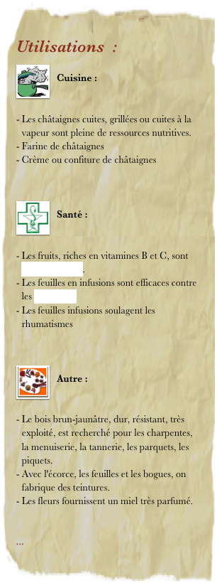 Utilisations  : 
￼
Cuisine : 


Les châtaignes cuites, grillées ou cuites à la vapeur sont pleine de ressources nutritives. 
Farine de châtaignes
Crème ou confiture de châtaignes


￼
Santé : 


Les fruits, riches en vitamines B et C, sont reminéralisants.
Les feuilles en infusions sont efficaces contre les bronchites
Les feuilles infusions soulagent les rhumatismes 


￼
Autre : 


Le bois brun-jaunâtre, dur, résistant, très exploité, est recherché pour les charpentes, la menuiserie, la tannerie, les parquets, les piquets.
Avec l'écorce, les feuilles et les bogues, on fabrique des teintures.
Les fleurs fournissent un miel très parfumé.


... 