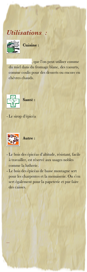 Utilisations  : 
￼
Cuisine : 


Sirop d’épicéa, que l’on peut utiliser comme du miel dans du fromage blanc, des yaourts, comme coulis pour des desserts ou encore en chèvres chauds.


￼
Santé : 


Le sirop d’épicéa


￼
Autre : 


Le bois des épicéas d’altitude, résistant, facile à travailler, est réservé aux usages nobles comme la lutherie. 
Le bois des épicéas de basse montagne sert pour les charpentes et la menuiserie. On s’en sert également pour la papeterie et pur faire des caisses.









... 