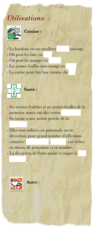 Utilisations  : 
￼
Cuisine : 


La bardane est un excellent légume sauvage. 
On peut les faire en frites.
On peut les manger en crudité.
Les jeunes feuilles sont mangé en salade.
La racine peut être bue comme du café.

￼
Santé : 


Ses racines fraîches et ses jeunes feuilles de la première année ont des vertus dépuratives.
Sa racine a une action proche de la pénicilline. 
Elles sont utilisées en pommade ou en décoction, pour grand nombre d’affections cutanées (acné, eczéma, furoncles) car riches en nitrate de potassium et en insuline. 
La décoction de fruits apaise et soigne le mal d'estomac. 


￼
Autre : 




... 