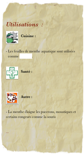 Utilisations  : 
￼
Cuisine : 


Les feuilles de menthe aquatique sont utilisées comme aromate.  

￼
Santé : 



￼
Autre : 


- La menthe éloigne les pucerons, moustiques et certains rongeurs comme la souris


... 