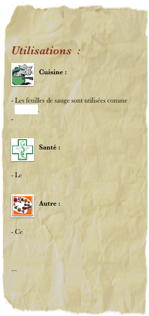 Utilisations  : 
￼
Cuisine : 


Les feuilles de sauge sont utilisées comme aromate. 


￼
Santé : 


- Le 

￼
Autre : 


Ce



... 