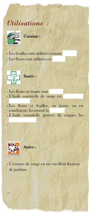 Utilisations  : 
￼
Cuisine : 


Les feuilles sont utilisées comme aromate. 
Les fleurs sont utilisées en liqueur.

￼
Santé : 


Les fleurs en tisane sont toniques.
L’huile essentielle de sauge est antiseptique et cicatrisant.
Les fleurs et feuilles, en tisane ou en condiment, favorisent la digestion.
L’huile essentielle permet de soigner les troubles digestifs.
 


￼
Autre : 


L’essence de sauge est un excellent fixateur de parfum.



... 